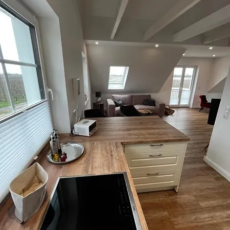 Muggelhuus Das Loft Mit Elbdeichblick Im Alten Land Und Mit Wallbox Twielenfleth Extérieur photo