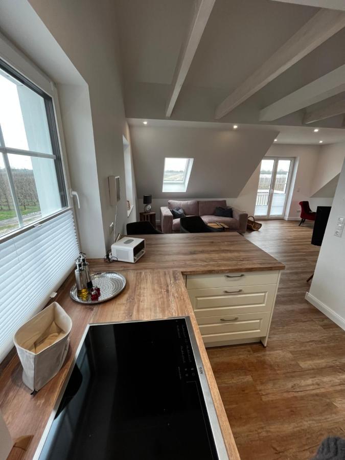 Apartment Muggelhuus Loft Mit Elbdeichblick Im Alten Land Und Mit Wallbox Twielenfleth