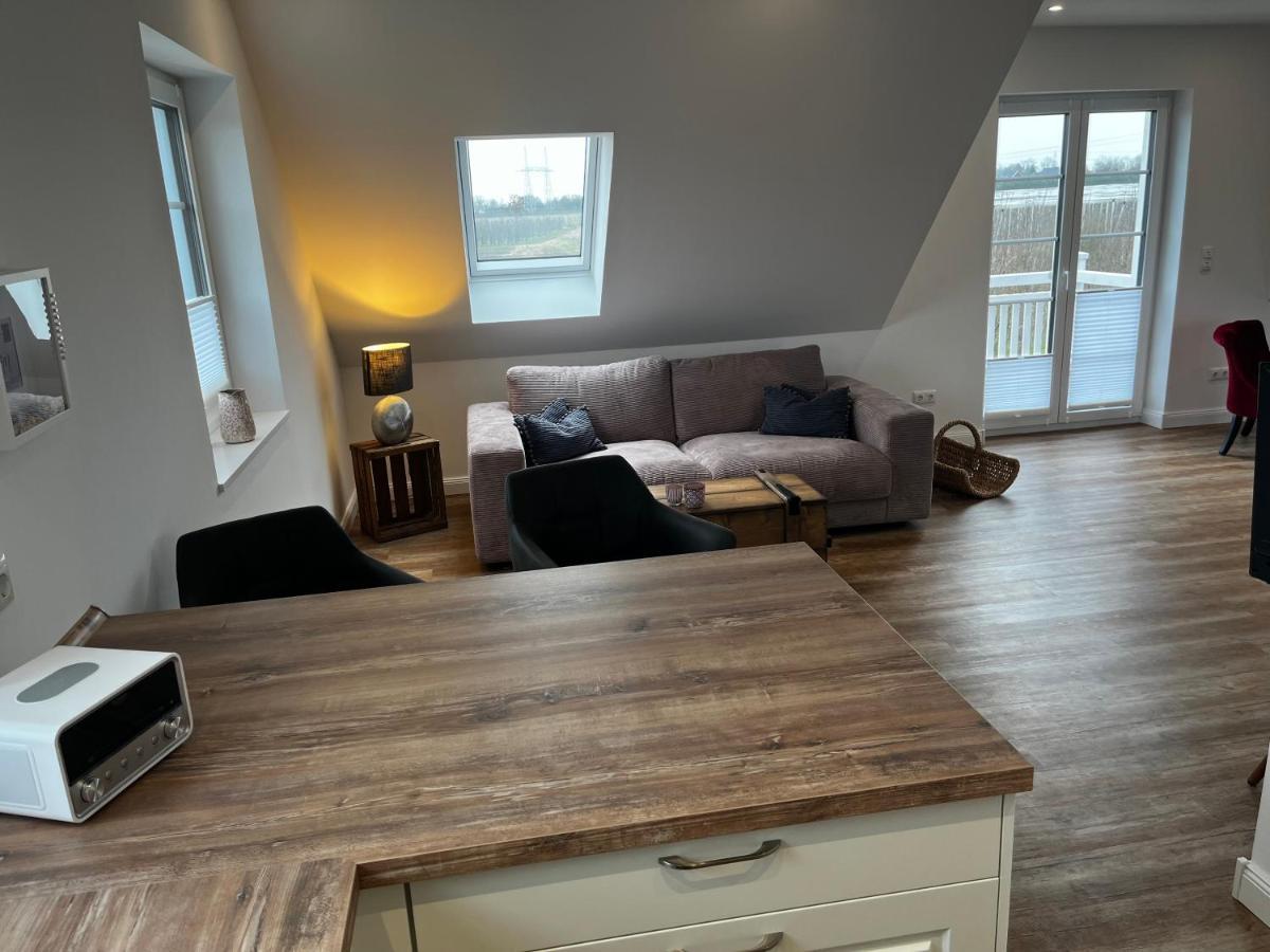 Muggelhuus Loft Mit Elbdeichblick Im Alten Land Und Mit Wallbox